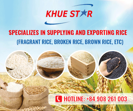 KHUE STAR IMPORT EXPORT TRADING COMPANY LIMITED