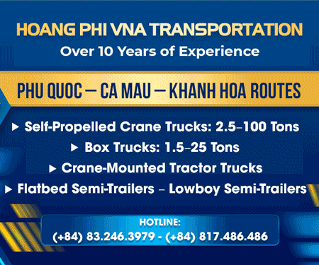 HOANG PHI VI NA COMPANY LIMITED