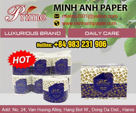 MINH ANH INVESTMENT AND TRADING COMPANY LIMITED