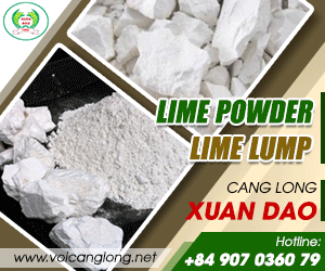CANG LONG LIME COMPANY LIMITTED