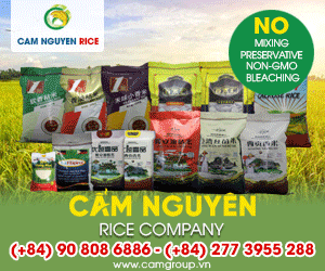 CAM NGUYEN RICE TRADING AND PROCESSING LIMITED COMPANY