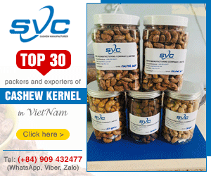 SVC Manufacturing Company Limited