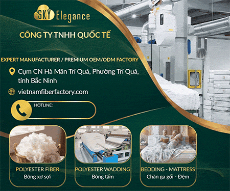 SKY ELEGANCE INTERNATIONAL COMPANY LIMITED